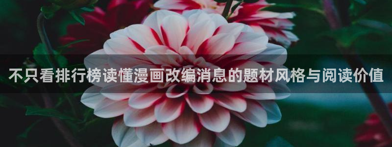 梦漫漫画今日漫画更新:不只看排行榜读懂漫画改编消息的题材风格与阅读价值