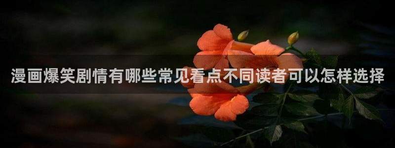 梦漫漫画热门漫画APP：漫画爆笑剧情有哪些常见看点不同读者可以怎样选择