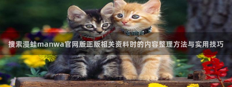 梦漫漫画手机版：搜索漫蛙manwa官网版正版相关资料时的内容整理方法与实用技巧