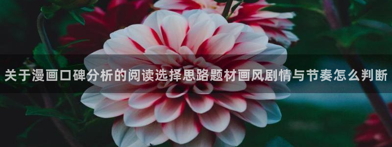 梦漫漫画漫画导航大全:关于漫画口碑分析的阅读选择思路题材画风剧情与节奏怎么判断